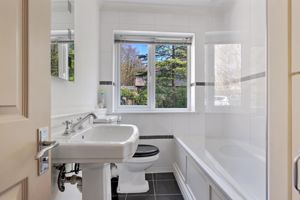 Photo 25- click for photo gallery